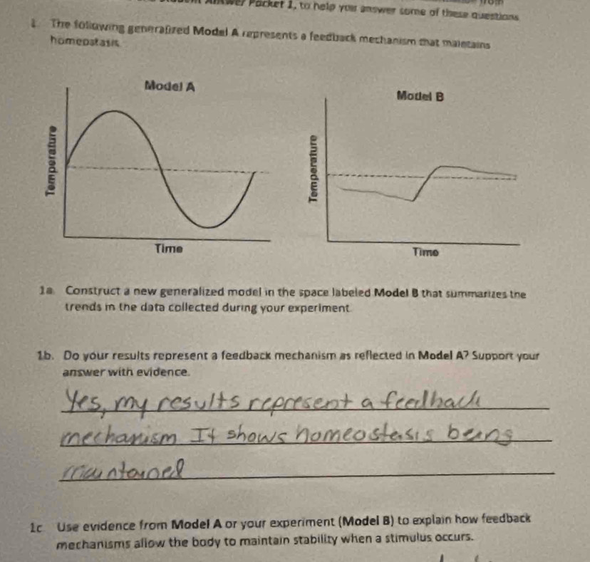 Iwer Packet 1, to help your answer some of these questions 
The following generalized Model A represents a feedback mechanism that maietains 
homepatasis 
Model B 
5 
Time 
1a Construct a new generalized model in the space labeled Model B that summarizes the 
trends in the data collected during your experiment 
1b. Do your results represent a feedback mechanism as reflected in Model A? Support your 
answer with evidence. 
_ 
_ 
_ 
1c Use evidence from Model A or your experiment (Model B) to explain how feedback 
mechanisms allow the body to maintain stability when a stimulus occurs.