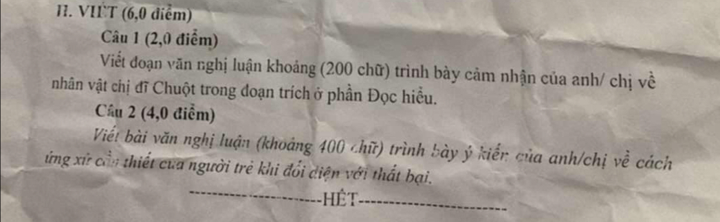 VIT (6,0 điểm) 
Câu 1 (2,0 điểm) 
Viết đoạn văn nghị luận khoảng (200 chữ) trình bày cảm nhận của anh/ chị về 
nhân vật chị đĩ Chuột trong đoạn trích ở phần Đọc hiều. 
Cầu 2 (4,0 điểm) 
Viế! bài văn nghị luận (khoảng 400 chữ) trình bày ý kiến của anh/chị về cách 
_ 
ứng xứ cần thiết của người trẻ khi đổi diện với thất bại. 
Hệt_