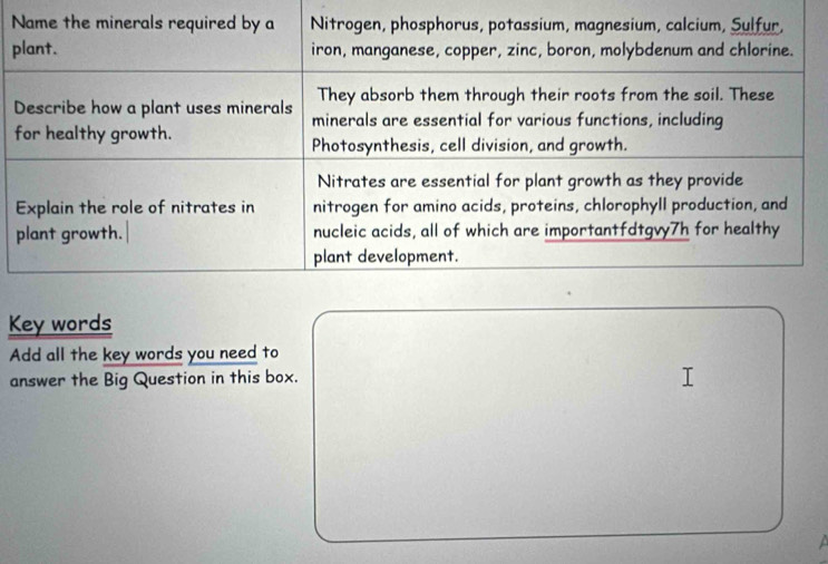 Name the minerals required by a Nitrogen, phosphorus, potassium, magnesium, calcium, Sulfur, 
plant. iron, manganese, copper, zinc, boron, molybdenum and chlorine. 
They absorb them through their roots from the soil. These 
Describe how a plant uses minerals minerals are essential for various functions, including 
for healthy growth. 
Photosynthesis, cell division, and growth. 
Nitrates are essential for plant growth as they provide 
Explain the role of nitrates in nitrogen for amino acids, proteins, chlorophyll production, and 
plant growth. nucleic acids, all of which are importantfdtgvy7h for healthy 
plant development. 
Key words 
Add all the key words you need to 
answer the Big Question in this box.