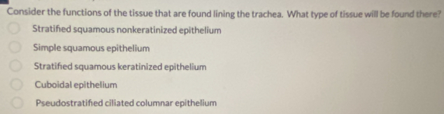 Consider the functions of the tissue that are found lining the trachea. What type of tissue will be found there?
Stratifed squamous nonkeratinized epithelium
Simple squamous epithelium
Stratifed squamous keratinized epithelium
Cuboidal epithelium
Pseudostratifed ciliated columnar epithelium