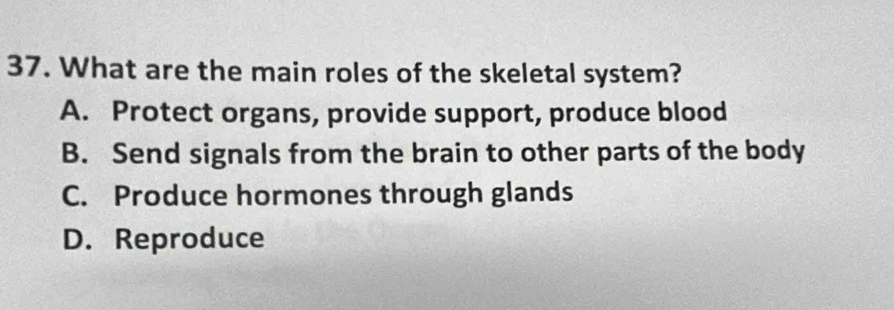 What are the main roles of the skeletal system?
A. Protect organs, provide support, produce blood
B. Send signals from the brain to other parts of the body
C. Produce hormones through glands
D. Reproduce