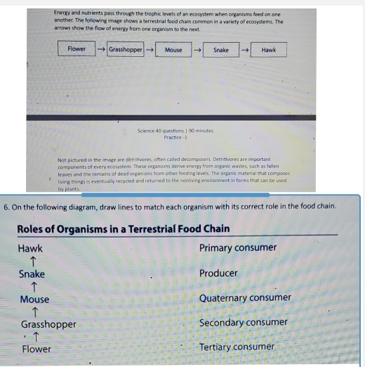 Energy and nutrients pass through the trophic levels of an ecosystem when organisms feed on one
another. The following image shows a terrestrial food chain common in a variety of ecosystems. The
arrows show the flow of energy from one organism to the next.
Flower Grasshopper Mouse Snake Hawk
Science 40 questions | 90 minutes Practice - 1
Not pictured in the image are detritivores, often called decomposers. Detritivores are important
components of every ecosystem. These organisms derive energy from organic wastes, such as fallen
leaves and the remains of dead organisms from other feeding levels. The organic material that composes
living things is eventually recycled and returned to the nonliving environment in forms that can be used
by plants.
6. On the following diagram, draw lines to match each organism with its correct role in the food chain.
Roles of Organisms in a Terrestrial Food Chain
Hawk Primary consumer
Snake Producer
Mouse Quaternary consumer
Grasshopper Secondary consumer
Flower Tertiary consumer