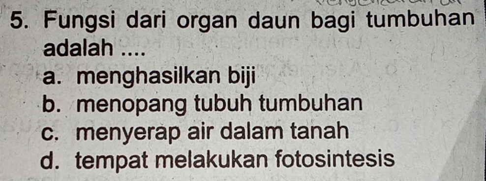 Fungsi dari organ daun bagi tumbuhan
adalah ....
a. menghasilkan biji
b. menopang tubuh tumbuhan
c. menyerap air dalam tanah
d. tempat melakukan fotosintesis