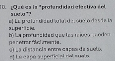 10 ¿Qué es la “profundidad efectiva del
suelo"?
a) La profundidad total del suelo desde la
superficie.
b) La profundidad que las raíces pueden
penetrar fácilmente.
c) La distancia entre capas de suelo.
d) La capa superficial del suelo.