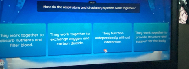 How do the respiratory and circulatory systems work together?
They work together to They work together to They function They work together to
absorb nutrients and exchange oxygen and independently without provide structure and
filter blood. carbon dioxide. interaction. support for the body