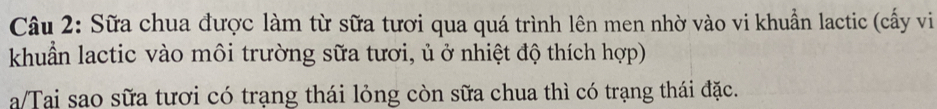 Sữa chua được làm từ sữa tươi qua quá trình lên men nhờ vào vi khuẩn lactic (cấy vi 
khuẩn lactic vào môi trường sữa tươi, ủ ở nhiệt độ thích hợp) 
a/Tai sao sữa tươi có trạng thái lỏng còn sữa chua thì có trạng thái đặc.