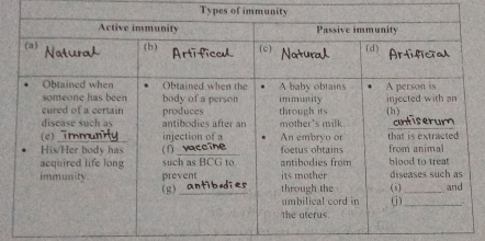 Types of immunity