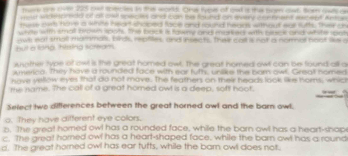 mr are ove 225 oel speicles in the world. Ons typer of aot is this bom aws Sam aws on
nee widesprad of all awl specles and can be fiaund on every contnent exceof Antor
hese ows have a write heart-shoped face and round heads without ear futts, their ch
wivte with small brown spots. The back is fawny and marked with plack and white spat
aws not small mammas, birds, repfilies, and insects. Their call is not a nommal noot lks a
but a long, hising scream.
wnother type of owl is the great homed owl. The great homed owl can be found all a
America. They have a rounded face with ear fufts, unlike the barn owl. Great norned
have yellow eyes that do not move. The feathers on their heads look like homs; which
the name. The call of a great horned owl is a deep, soft hoot. Ga eed
Select two differences between the great horned owl and the barn owl.
a. They have different eye colors.
b. The great horned owl has a rounded face, while the barn owl has a heart-shap
c. The great horned owl has a heart-shaped face, while the barn owl has a round
d. The great horned owl has ear tufts, while the barn owl does not.