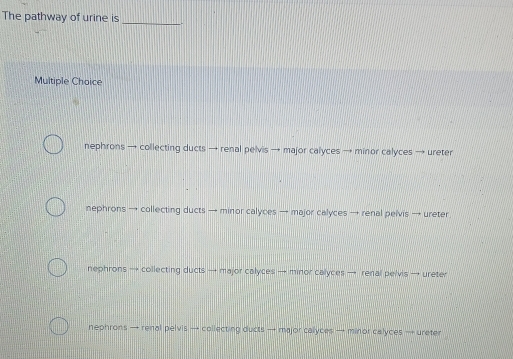 The pathway of urine is _<
Multiple Choice
 nephrons → collecting ducts → renal pelvis → major calyces → minor calyces ureter
nephrons → collecting ducts → minor calyces → major calyces → renal pelvis → ureter
nephrons → collecting ducts → major calyces → minor calyces → renal pelvis → ureter
nephrons → renal pelvis → collecting ducts → major calyces → minor calyces → ureter