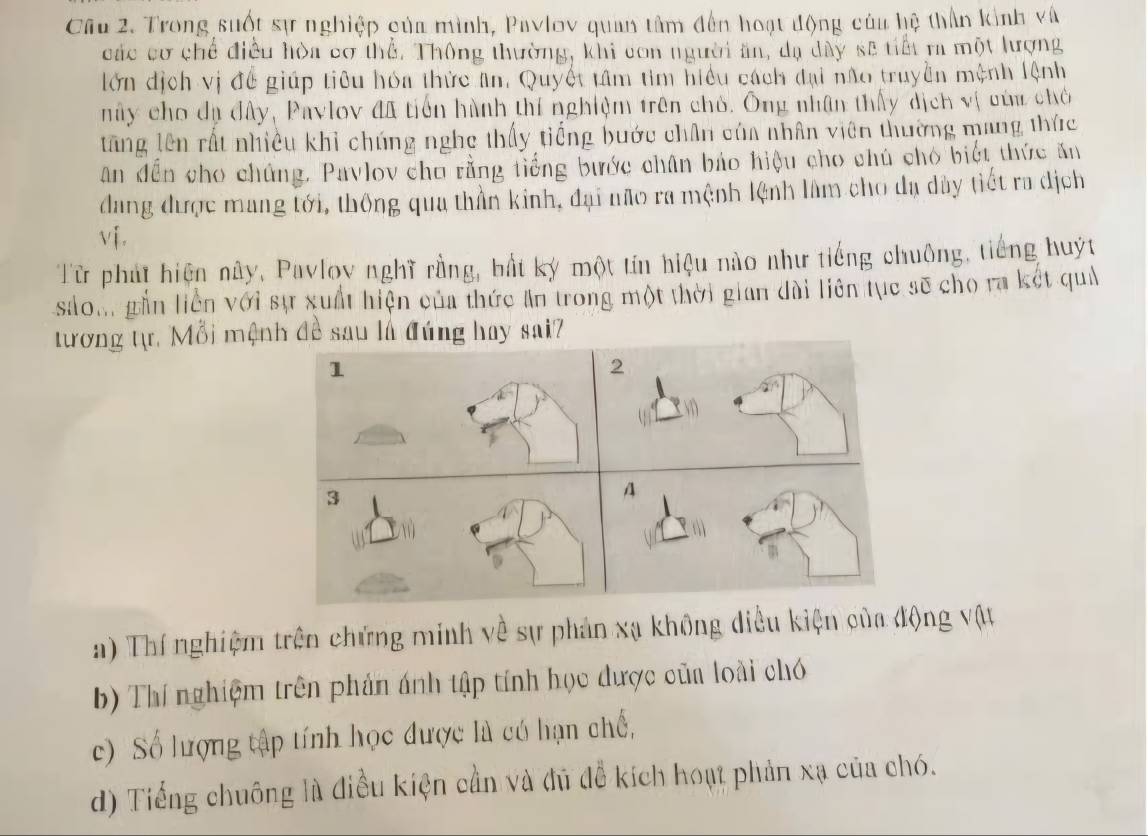 Trong suốt sự nghiệp của mình, Pavlov quan tâm đến hoạt động của hệ thần kinh và
các cơ chế điều hòa cơ thể. Thông thường, khi con người ăn, đạ dây sẽ tiểt ra một lượng
lớn dịch vị đề giúp tiêu hóa thức ân, Quyết tâm tìm hiều cách đại não truyền mệnh lệnh
nây cho đạ đây, Pavlov đã tiến hành thí nghiệm trên chủ. Ông nhân thấy dịch vị đùm chên
tăng lên rất nhiều khi chúng nghe thấy tiếng bước chân của nhân viên thường mang thức
ân dến cho chúng. Pavlov chu rằng tiếng bước chân báo hiệu cho chú chó biết thức ăn
dang được mang tới, thông qua thần kinh, đại não ra mệnh lệnh làm cho đạ dây tiết ra dịch
vi,
Từ phát hiện này, Pavlov nghĩ rằng, bất ký một tín hiệu nào như tiếng chuông, tiếng huýt
sao.. gần liên với sự xuất hiện của thức An trong một thời gian dài liên tục sẽ cho ra kết quả
tương tự, Mỗi mệnh đề sau là đúng hay sai?
a) Thí nghiệm trên chứng minh về sự phản xạ không diều kiện của động vật
b) Thí nghiệm trên phản ánh tập tính học được của loài chó
c) Số lượng tập tính học được là có hạn chế,
d) Tiếng chuông là điều kiện cần và đủ để kích hoạt phản xạ của chó.