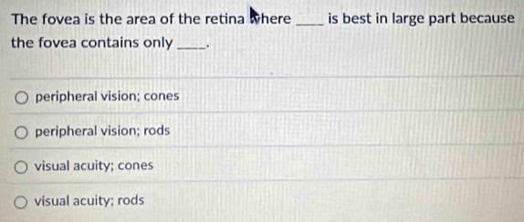 The fovea is the area of the retina where _is best in large part because
the fovea contains only _.
peripheral vision; cones
peripheral vision; rods
visual acuity; cones
visual acuity; rods