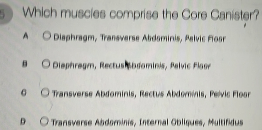 Solved: Which muscles comprise the Core Canister? A Diaphragm ...