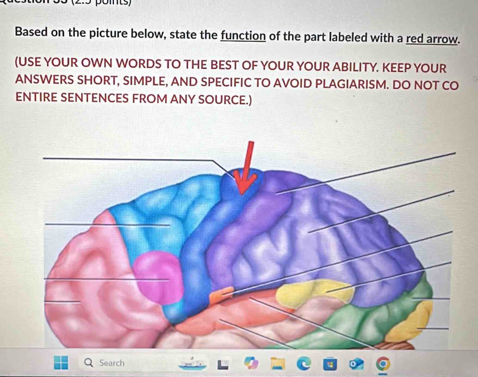 3 (2:5 pomts) 
Based on the picture below, state the function of the part labeled with a red arrow. 
(USE YOUR OWN WORDS TO THE BEST OF YOUR YOUR ABILITY. KEEP YOUR 
ANSWERS SHORT, SIMPLE, AND SPECIFIC TO AVOID PLAGIARISM. DO NOT CO 
ENTIRE SENTENCES FROM ANY SOURCE.) 
Search