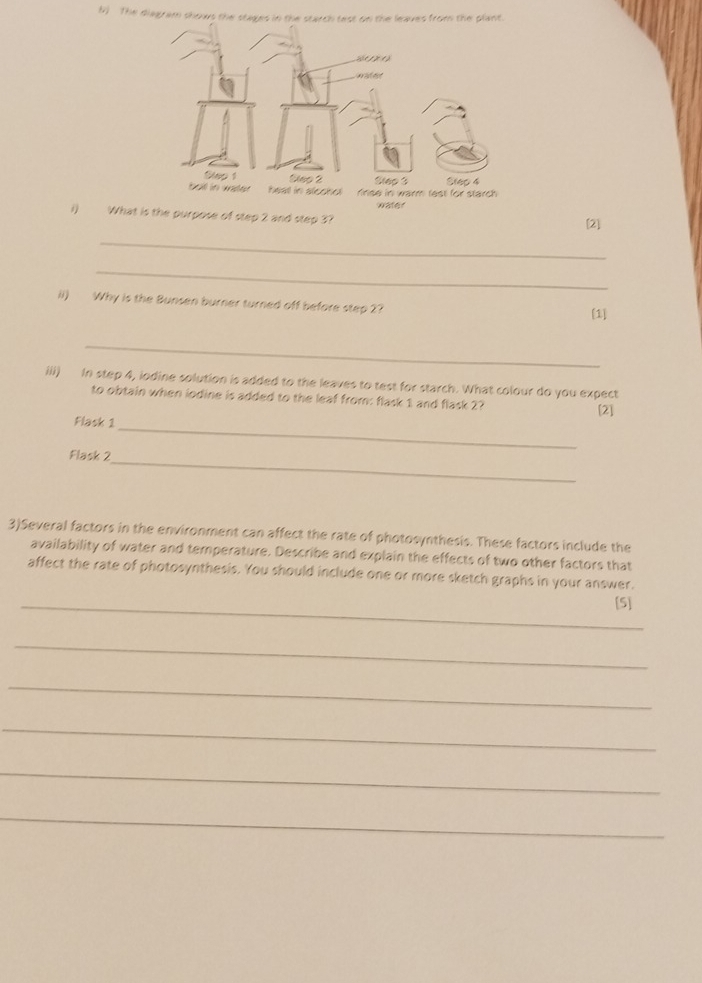 The diagram shows the stages in the starch test on the leaves from the plant. 
i) What is the purpose of step 2 and step 3? 
(2] 
_ 
_ 
ii) Why is the Bunsen burner turned off before step 2? 
[1] 
_ 
iii) In step 4, iodine solution is added to the leaves to test for starch. What colour do you expect 
to obtain when iodine is added to the leaf from: flask 1 and flask 2? 
[2] 
_ 
Flask 1 
_ 
Flask 2 
3)Several factors in the environment can affect the rate of photosynthesis. These factors include the 
availability of water and temperature. Describe and explain the effects of two other factors that 
affect the rate of photosynthesis. You should include one or more sketch graphs in your answer. 
_[S] 
_ 
_ 
_ 
_ 
_