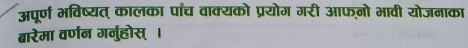 अपूर्ण भविष्यत् कालका पाँच वाक्यको प्रयोग गरी आफगो भावी योजनाका 
बारेमा वर्णन गर्नुहोस् ।