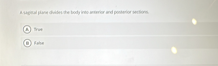 A sagittal plane divides the body into anterior and posterior sections.
A True
B False