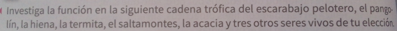 Investiga la función en la siguiente cadena trófica del escarabajo pelotero, el pango- 
lín, la hiena, la termita, el saltamontes, la acacia y tres otros seres vivos de tu elección.