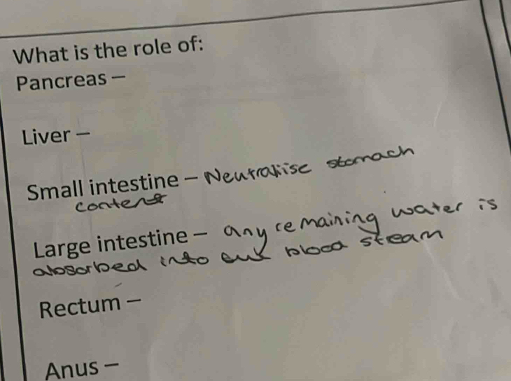 What is the role of: 
Pancreas — 
Liver 
Small intestine · 
Large intestine - 
Rectum 
Anus -