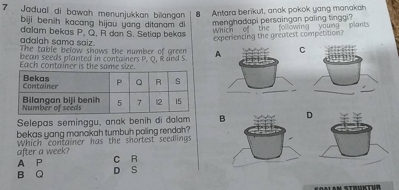 Jadual di bawah menunjukkan bilangan 8 Antara berikut, anak pokok yang manakah
biji benih kacang hijau yang ditanam di menghadapi persaingan paling tinggi?
oung plants
dalam bekas P, Q, R dan S. Setiap bekas Which
adalah sama saiz.
experiencing the greatest competition?
The table below shows the number of green A
bean seeds planted in containers P, Q, R and S.
Each container is the same size.
Selepas seminggu, anak benih di dalam B
D
bekas yang manakah tumbuh paling rendah?
Which container has the shortest seedlings
after a week?
A P
c R
B Q
D S