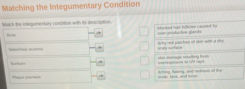 Matching the Integumentary Condition
M