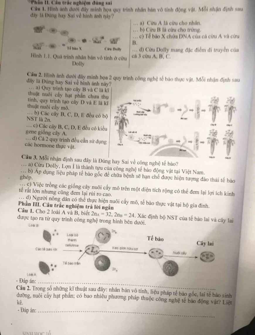 Phần I. Câu trắc nghiệm đủng sai
Câu 1. Hình ảnh dưới đây minh họa quy trình nhân bản vô tính động vật. Mỗi nhận định sau
đây là Đùng hay Sại về hình ảnh này?
a) Cừu A là cừu cho nhân.
b) Cừu B là cừu cho trứng... c) Tế bào X chứa DNA của cá cừu A và cừu
B.
Tể bào X Ciru Dolly . . d) Cừu Dolly mang đặc điểm di truyền của
Hình 1.1. Quá trình nhân bản vô tính ở cừu cả 3 cừu A, B, C.
Dolly
Câu 2. Hình ảnh dưới đây minh họa 2 quy trình công nghệ tế bào thực vật. Mỗi nhận định sau
đây là Đúng hay Sai về hình ảnh này?. a) Quy trình tạo cây B và C là kĩ
thuật nuôi cấy hạt phần chưa thụ
tinh, quy trình tạo cây D và E là kĩ
thuật nuôi cấy mô.. . . b) Các cây B, C, D, E đều có bộ
NST là 2n.. c) Các cây B, C, D, E đều có kiều
gene giống cây A..   d) Cả 2 quy trình đều cần sử dụng
các hormone thực vật.
Sây 6
Câu 3. Mỗi nhận định sau đây là Đúng hay Sai về công nghệ tế bào?
. a) Cừu Dolly, Lợn Ì là thành tựu của công nghệ tế bào động vật tại Việt Nam.
.. b) Áp dụng liệu pháp tế bào gốc để chữa bệnh sẽ hạn chế được hiện tượng đảo thái tế bào
ghép.
M c) Việc trồng các giống cây nuôi cấy mô trên một diện tích rộng có thể đem lại lợi ích kính
tế rất lớn nhưng cũng đem lại rùi ro cao.
.. . d) Người nông dân có thể thực hiện nuôi cấy mô, tế bào thực vật tại hộ gia đình.
Phần III. Câu trắc nghiệm trả lời ngắn
Câu 1. Cho 2 loài A và B, biết 2n_A=32,2n_B=24. Xác định bộ NST của tế bào lai và cây lai
được tạo ra từ quy trình công nghệ trong hình bên dưới.
_
Câu 2. Trong số những kĩ thuật sau đây: nhân bản vô tính, liệu pháp tế bào gốc, lai tế bảo sinh
dưỡng, nuôi cấy hạt phần; có bao nhiêu phương pháp thuộc công nghệ tế bảo động vật? Liệt
kê.
- Đáp án:_
sinh học lả