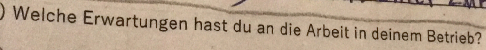 ) Welche Erwartungen hast du an die Arbeit in deinem Betrieb?