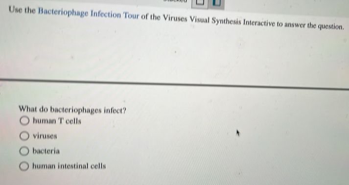 Use the Bacteriophage Infection Tour of the Viruses Visual Synthesis Interactive to answer the question.
What do bacteriophages infect?
human T cells
viruses
bacteria
human intestinal cells