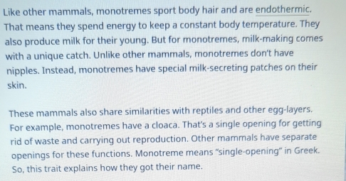 Like other mammals, monotremes sport body hair and are endothermic. 
That means they spend energy to keep a constant body temperature. They 
also produce milk for their young. But for monotremes, milk-making comes 
with a unique catch. Unlike other mammals, monotremes don't have 
nipples. Instead, monotremes have special milk-secreting patches on their 
skin. 
These mammals also share similarities with reptiles and other egg-layers. 
For example, monotremes have a cloaca. That’s a single opening for getting 
rid of waste and carrying out reproduction. Other mammals have separate 
openings for these functions. Monotreme means “single-opening” in Greek. 
So, this trait explains how they got their name.