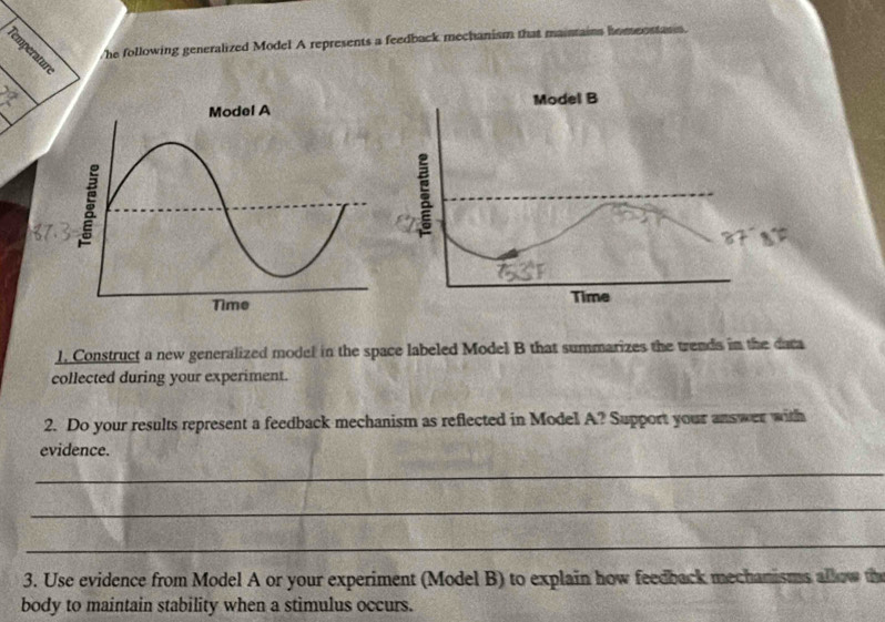 he following generalized Model A represents a feedback mechanism that maintains homeostasis. 
1. Construct a new generalized model in the space labeled Model B that summarizes the trends in the data 
collected during your experiment. 
2. Do your results represent a feedback mechanism as reflected in Model A? Support your answer with 
evidence. 
_ 
_ 
_ 
3. Use evidence from Model A or your experiment (Model B) to explain how feedback mechanisms allow th 
body to maintain stability when a stimulus occurs.