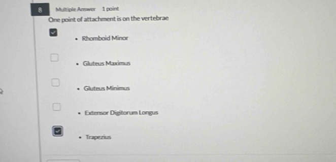 Multiple Answer 1 point
One point of attachment is on the vertebrae
√
Rhomboid Minor
Gluteus Maximus
Gluteus Minimus
Extensor Digitorum Longus
Trapezius