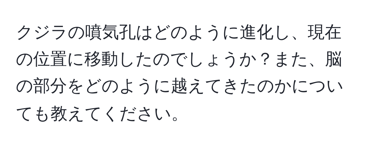 クジラの噴気孔はどのように進化し、現在の位置に移動したのでしょうか？また、脳の部分をどのように越えてきたのかについても教えてください。