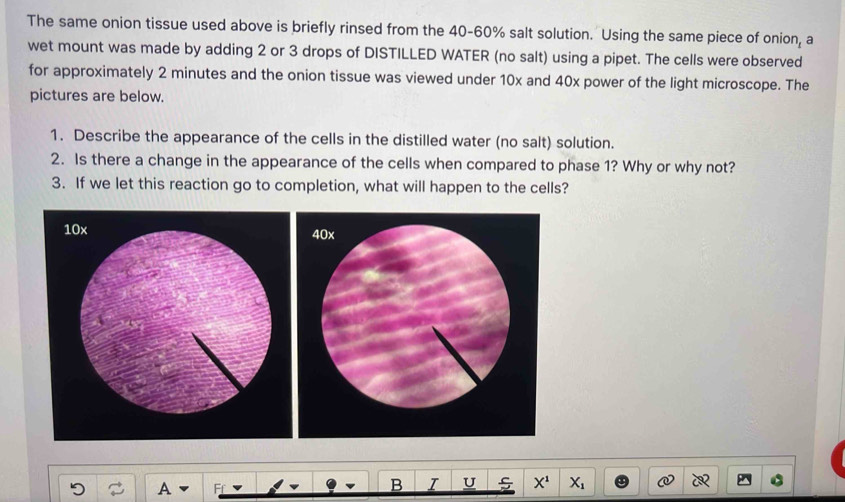 The same onion tissue used above is briefly rinsed from the 40-60% salt solution. Using the same piece of onion, a 
wet mount was made by adding 2 or 3 drops of DISTILLED WATER (no salt) using a pipet. The cells were observed 
for approximately 2 minutes and the onion tissue was viewed under 10x and 40x power of the light microscope. The 
pictures are below. 
1. Describe the appearance of the cells in the distilled water (no salt) solution. 
2. Is there a change in the appearance of the cells when compared to phase 1? Why or why not? 
3. If we let this reaction go to completion, what will happen to the cells? 
A
X^1 X_1