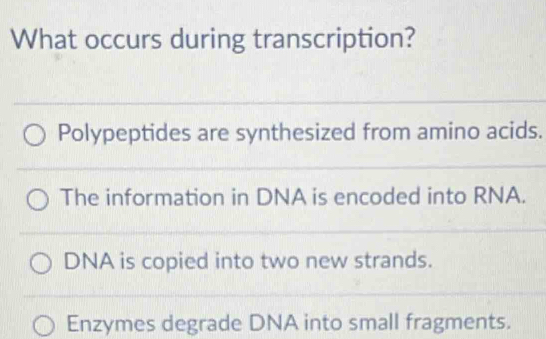 What occurs during transcription?
Polypeptides are synthesized from amino acids.
The information in DNA is encoded into RNA.
DNA is copied into two new strands.
Enzymes degrade DNA into small fragments.