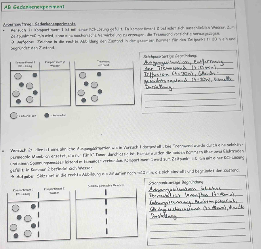 AB Gedankenexperiment 
Arbeitsauftrag: Gedankenexperimente 
Versuch 1: Kompartiment 1 ist mit einer KCl-Lösung gefüllt. In Kompartiment 2 befindet sich ausschließlich Wasser. Zum 
Zeitpunkt t=0 min wird, ohne eine mechanische Verwirbelung zu erzeugen, die Trennwand vorsichtig herausgezogen. 
→ Aufgabe: Zeichne in die rechte Abbildung den Zustand in der gesamten Kammer für den Zeitpunkt t=20 h ein und 
begründet den Zustand. 
Stichpunktartige Begründung: 
Kompartiment 1 Kompartiment_2_ 
_ 
KCI-Lösung Wasser 
_ 
_ 
_ 
_ 
_ 
_ 
= Chlorid-Ion = Kalium-Ion 
Versuch 2: Hier ist eine ähnliche Ausgangssituation wie in Versuch 1 dargestellt. Die Trennwand wurde durch eine selektiv- 
permeable Membran ersetzt, die nur für K*-Ionen durchlässig ist. Ferner wurden die beiden Kammern über zwei Elektroden 
und einen Spannungsmesser leitend miteinander verbunden. Kompartiment 1 wird zum Zeitpunkt t=0 min mit einer KCI-Lösung 
gefüllt; in Kammer 2 befindet sich Wasser. 
Aufgabe: Skizziert in die rechte Abbildung die Situation nach t=10min , die sich einstellt und begründet den Zustand. 
Kompartiment 1 Kompartiment 2 Selektiv permeable Membran _Stichpunktartige Begründung: 
_ 
KCl-Lösung Wasser 
_ 
_ 
_ 
_ 
_ 
_