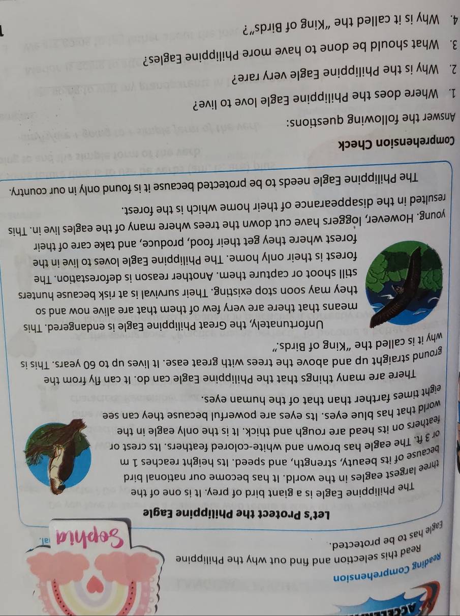 ACCEL 
Reading Comprehension 
Read this selection and find out why the Philippine 
Eagle has to be protected. 
Sophia 
Let’s Protect the Philippine Eagle 
The Philippine Eagle is a giant bird of prey. It is one of the 
three largest eagles in the world. It has become our national bird 
because of its beauty, strength, and speed. Its height reaches 1 m
or 3 ft. The eagle has brown and white-colored feathers. Its crest or 
feathers on its head are rough and thick. It is the only eagle in the 
world that has blue eyes. Its eyes are powerful because they can see 
eight times farther than that of the human eyes. 
There are many things that the Philippine Eagle can do. It can fly from the 
ground straight up and above the trees with great ease. It lives up to 60 years. This is 
why it is called the “King of Birds.” 
Unfortunately, the Great Philippine Eagle is endangered. This 
means that there are very few of them that are alive now and so 
they may soon stop existing. Their survival is at risk because hunters 
still shoot or capture them. Another reason is deforestation. The 
forest is their only home. The Philippine Eagle loves to live in the 
forest where they get their food, produce, and take care of their 
young. However, loggers have cut down the trees where many of the eagles live in. This 
resulted in the disappearance of their home which is the forest. 
The Philippine Eagle needs to be protected because it is found only in our country. 
Comprehension Check 
Answer the following questions: 
1. Where does the Philippine Eagle love to live? 
2. Why is the Philippine Eagle very rare? 
3. What should be done to have more Philippine Eagles? 
4. Why is it called the “King of Birds”?