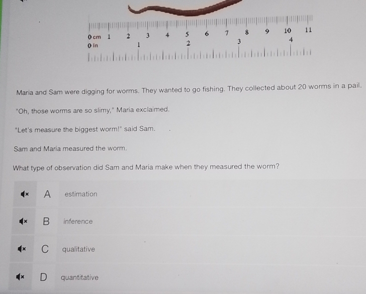 Solved: 0 cm 1 2 3 4 5 6 1 8 9 10 11 () in 1 2 3 4 Maria and Sam were ...