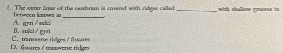 The outer layer of the cerebrum is covered with ridges called _with shallow grooves in 
between known as
_
A. gyri / sulci
B. sulci / gyri
C. transverse ridges / fissures
D. fissures / transverse ridges