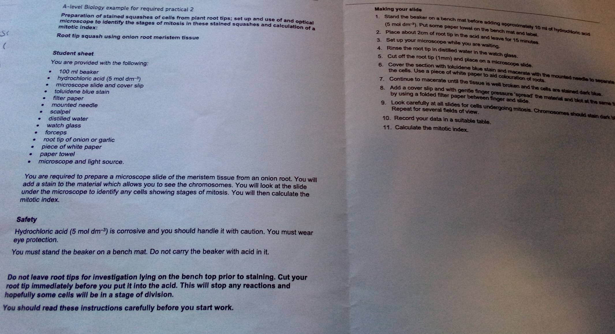 A-level Biology example for required practical 2
Making your slide
microscope to identify the stages of mitosis in these stained squashes and calculation of a
Preparation of stained squashes of cells from plant root tips; set up and use of and optical (5 mol d n^(-3) ). Put some paper towel on the bench mat and label.
1. Stand the beaker on a bench mat before adding approximately 10 ml of hydrochlorc acid
mitotic index:
S<
Root tip squash using onion root meristem tissue
2. Place about 2cm of root tip in the acid and leave for 15 minutes
3. Set up your microscope while you are waiting.
(
4. Rinse the root tip in distilled water in the watch glass
Student sheet
5. Cut off the root tip (1mm) and place on a microscope slide.
You are provided with the following:
100 ml beaker
6. Cover the section with toluidene blue stain and macerate with the mounted needle to separat
the cells. Use a piece of white paper to aid colouration of roots
hydrochloric acid (5 mol  dm^(-3))
microscope slide and cover slip
7. Continue to macerate until the tissue is well broken and the cells are stained dark blue.
toluidene blue stain
8. Add a cover slip and with gentle finger pressure ‘spread' the material and blot at the same 
by using a folded filter paper between finger and slide.
mounted needle
filter paper Repeat for several fields of view.
9. Look carefully at all slides for cells undergoing mitosis. Chromosomes should stain dark b
scalpel
distilled water
10. Record your data in a suitable table.
watch glass
11. Calculate the mitotic index.
forceps
root tip of onion or garlic
piece of white paper
paper towel
microscope and light source.
You are required to prepare a microscope slide of the meristem tissue from an onion root. You will
add a stain to the material which allows you to see the chromosomes. You will look at the slide
under the microscope to identify any cells showing stages of mitosis. You will then calculate the
mitotic index.
Safety
Hydrochloric acid (5 mol dm^(-3)) h is corrosive and you should handle it with caution. You must wear
eye protection.
You must stand the beaker on a bench mat. Do not carry the beaker with acid in it.
Do not leave root tips for investigation lying on the bench top prior to staining. Cut your
root tip immediately before you put it into the acid. This will stop any reactions and
hopefully some cells will be in a stage of division.
You should read these instructions carefully before you start work.