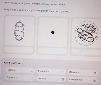 Below are some diograms of organalles faund in animal cells.
Drag the label to the appropriate diogram to name the organelle.
Possible Answers
Plasmid Chioroplest Ribosome
Cytoplasm Nucleus Mitochondrio