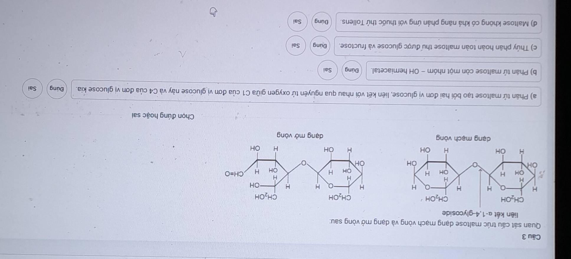 Quan sát cấu trúc maltose dạng mạch vòng và dạng mở vòng sau:
liên kết α-1,4-glycoside
dạng mạch vòng vòng
Chọn đúng hoặc sai
a) Phân tử maltose tạo bởi hai đơn vị glucose, liên kết với nhau qua nguyên tử oxygen giữa C1 của đơn vị glucose này và C4 của đơn vị glucose kia. Đúng Sai
b) Phân tử maltose còn một nhóm - OH hemiacetal. Đúng Sai
c) Thúy phân hoàn toàn maltose thu được glucose và fructose. Đúng Sai
d) Maltose không có khả năng phản ứng với thuốc thứ Tollens. Đúng Sai