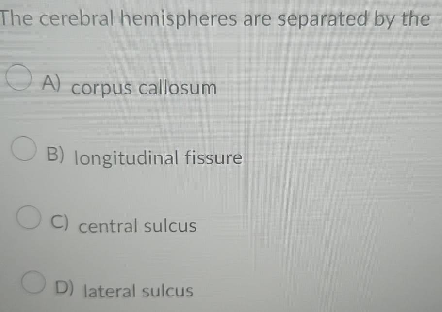 The cerebral hemispheres are separated by the
A) corpus callosum
B) longitudinal fissure
C) central sulcus
D) lateral sulcus