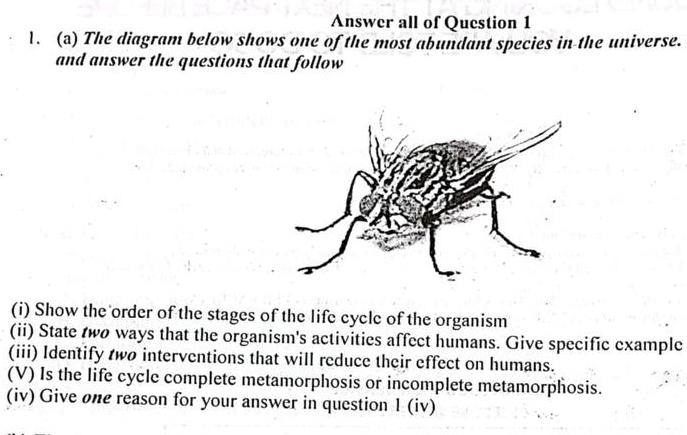 Answer all of Question 1 
1. (a) The diagram below shows one of the most abundant species in-the universe. 
and answer the questions that follow 
(i) Show the order of the stages of the life cycle of the organism 
(ii) State two ways that the organism's activities affect humans. Give specific example 
(iii) Identify two interventions that will reduce their effect on humans. 
(V) Is the life cycle complete metamorphosis or incomplete metamorphosis. 
(iv) Give one reason for your answer in question 1 (iv)