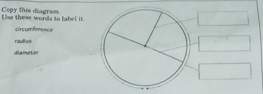 Copy this diagram. 
Use these words to label it. 
circumference 
radlus 
diameter