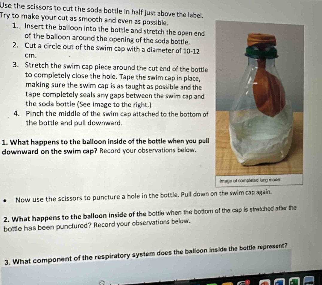 Use the scissors to cut the soda bottle in half just above the label. 
Try to make your cut as smooth and even as possible. 
1. Insert the balloon into the bottle and stretch the open end 
of the balloon around the opening of the soda bottle. 
2. Cut a circle out of the swim cap with a diameter of 10-12
cm. 
3. Stretch the swim cap piece around the cut end of the bottle 
to completely close the hole. Tape the swim cap in place, 
making sure the swim cap is as taught as possible and the 
tape completely seals any gaps between the swim cap and 
the soda bottle (See image to the right.) 
4. Pinch the middle of the swim cap attached to the bottom of 
the bottle and pull downward. 
1. What happens to the balloon inside of the bottle when you pull 
downward on the swim cap? Record your observations below. 
Now use the scissors to puncture a hole in the bottle. Pull down on the swim cap again. 
2. What happens to the balloon inside of the bottle when the bottor of the cap is stretched after the 
bottle has been punctured? Record your observations below. 
3. What component of the respiratory system does the balloon inside the bottle represent?