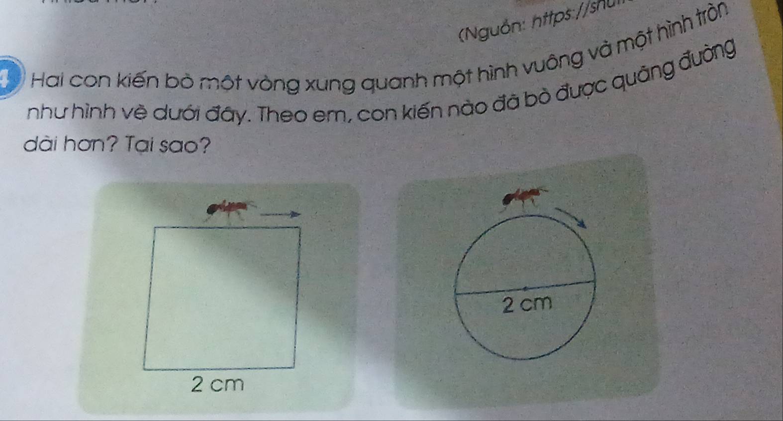 (Nguồn: https://snu 
a 
Hai con kiến bò một vòng xung quanh một hình vuông và một hình trồn 
như hình về dưới đây. Theo em, con kiến nào đã bỏ được quảng đường 
dài hơn? Tại sao?