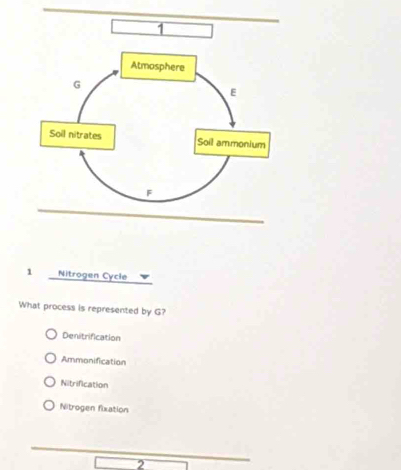 1
1 Nitrogen Cycle
What process is represented by G?
Denitrification
Ammonification
Nitrification
Nitrogen fixation
2