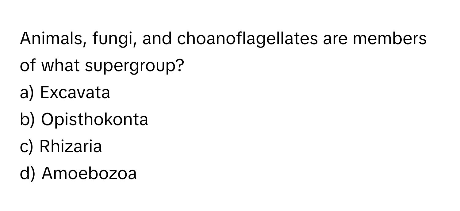 Animals, fungi, and choanoflagellates are members of what supergroup?
 
a) Excavata
b) Opisthokonta
c) Rhizaria
d) Amoebozoa