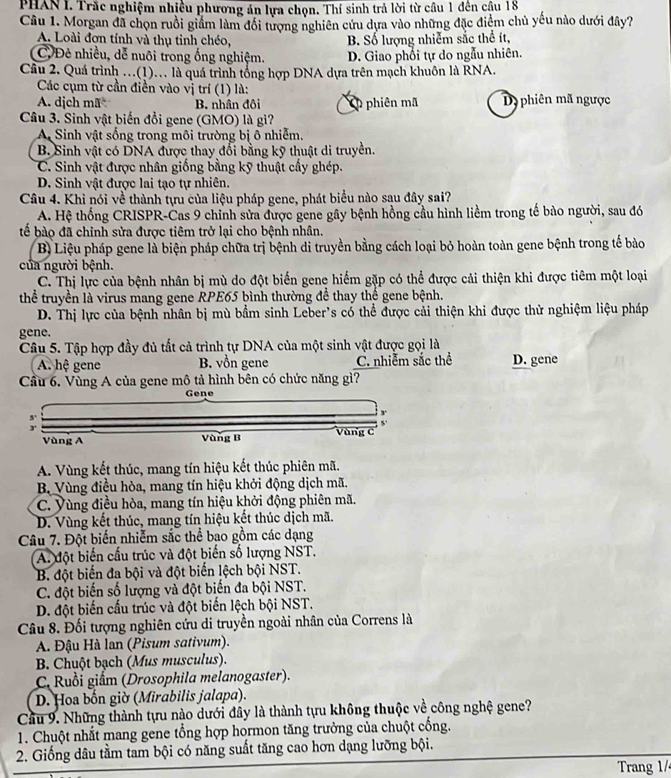 PHAN I. Trắc nghiệm nhiều phương án lựa chọn. Thí sinh trả lời từ câu 1 đến cậu 18
Câu 1. Morgan đã chọn ruồi giám làm đổi tượng nghiên cứu dựa vào những đặc điểm chủ yếu nào dưới đây?
A. Loài đơn tính và thụ tinh chéo, B. Số lượng nhiễm sắc thể ít,
C, Đẻ nhiều, dễ nuôi trong ống nghiệm. D. Giao phối tự do ngẫu nhiên.
Câu 2. Quá trình .(1).. là quá trình tổng hợp DNA dựa trên mạch khuôn là RNA.
Các cụm từ cần điền vào vị trí (1) là:
A. dịch mã B. nhân đôi Cp phiên mã Dy phiên mã ngược
Câu 3. Sinh vật biến đồi gene (GMO) là gì?
A Sinh vật sống trong môi trường bị ô nhiễm.
B. Sinh vật có DNA được thay đổi bằng kỹ thuật di truyền.
C. Sinh vật được nhân giống bằng kỹ thuật cấy ghép.
D. Sinh vật được lai tạo tự nhiên.
Câu 4. Khi nói về thành tựu của liệu pháp gene, phát biểu nào sau đây sai?
A. Hệ thống CRISPR-Cas 9 chỉnh sửa được gene gây bệnh hồng cầu hình liềm trong tế bào người, sau đó
tể bào đã chỉnh sửa được tiêm trở lại cho bệnh nhân.
B Liệu pháp gene là biện pháp chữa trị bệnh di truyền bằng cách loại bỏ hoàn toàn gene bệnh trong tế bào
của người bệnh.
C. Thị lực của bệnh nhân bị mù do đột biến gene hiểm gặp có thể được cải thiện khi được tiêm một loại
thể truyền là virus mang gene RPE65 þình thường để thay thế gene bệnh.
D. Thị lực của bệnh nhân bị mù bầm sinh Leber's có thể được cải thiện khi được thử nghiệm liệu pháp
gene.
Câu 5. Tập hợp đầy đủ tất cả trình tự DNA của một sinh vật được gọi là
A. hệ gene B. vồn gene C. nhiễm sắc thể D. gene
Cầu 6. Vùng A của gene mô tả hình bên có chức năng gì?
Gene
5'
3'
Vùng A Vùng B Vùng C
A. Vùng kết thúc, mang tín hiệu kết thúc phiên mã.
B. Vùng điều hòa, mang tín hiệu khởi động dịch mã.
C. Vùng điều hòa, mang tín hiệu khởi động phiên mã.
D. Vùng kết thúc, mang tín hiệu kết thúc dịch mã.
Câu 7. Đột biến nhiễm sắc thể bao gồm các dạng
A. đột biến cấu trúc và đột biến số lượng NST.
B. đột biến đa bội và đột biến lệch bội NST.
C. đột biến số lượng và đột biến đa bội NST.
D. đột biến cấu trúc và đột biến lệch bội NST.
Câu 8. Đối tượng nghiên cứu di truyền ngoài nhân của Correns là
A. Đậu Hà lan (Pisum sativum).
B. Chuột bạch (Mus musculus).
C. Ruồi giấm (Drosophila melanogaster).
D. Hoa bốn giờ (Mirabilis jalapa).
Cầu 9. Những thành tựu nào dưới đây là thành tựu không thuộc về công nghệ gene?
1. Chuột nhắt mang gene tổng hợp hormon tăng trưởng của chuột cống.
2. Giống dâu tằm tam bội có năng suất tăng cao hơn dạng lưỡng bội.
Trang 1/
