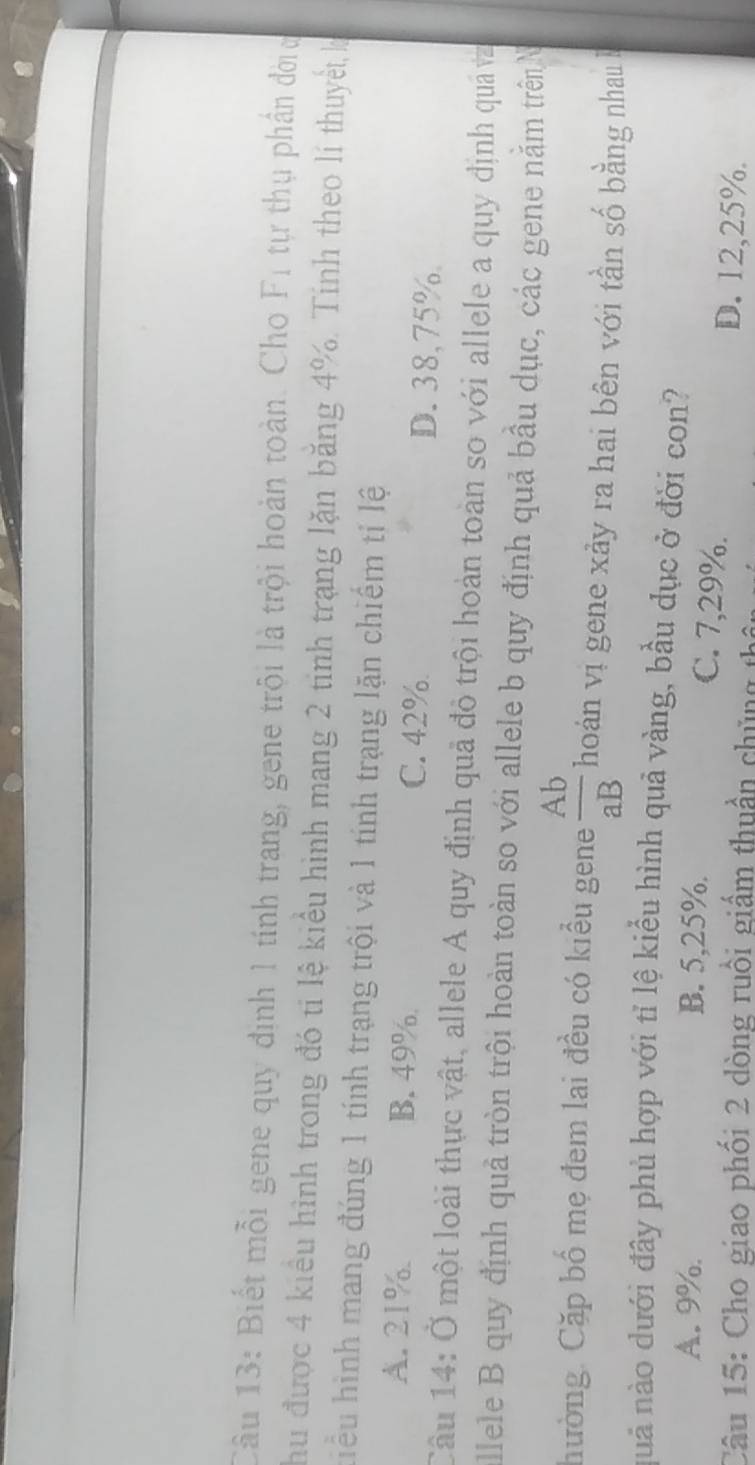 Biết mỗi gene quy định 1 tính trang, gene trội là trội hoàn toàn. Cho Fỉ tự thụ phần đờic
Thu được 4 kiểu hình trong đó ti lệ kiểu hình mang 2 tinh trạng lặn băng 4%. Tinh theo lí thuyết, l
hiểu hình mang đúng 1 tính trạng trội và 1 tính trạng lặn chiếm tí lệ
A. 21% B. 49%. C. 42% D. 38,75%.
Câu 14: Ở một loài thực vật, allele A quy định quả đỏ trội hoàn toàn so với allele a quy định qu v
allele B quy định quả tròn trội hoàn toàn so với allele b quy định quả bầu dục, các gene nằm trênN
hường. Cặp bố mẹ đem lai đều có kiều gene  Ab/aB  hoán vị gene xảy ra hai bên với tần số bằng nhau
quả nào dưới đây phủ hợp với tỉ lệ kiểu hình quả vàng, bầu dục ở đời con?
A. 9%. B. 5,25%. C. 7, 29%.
Câu 15: Cho giao phối 2 dòng ruồi giầm thuần ch ủng
D. 12,25%.