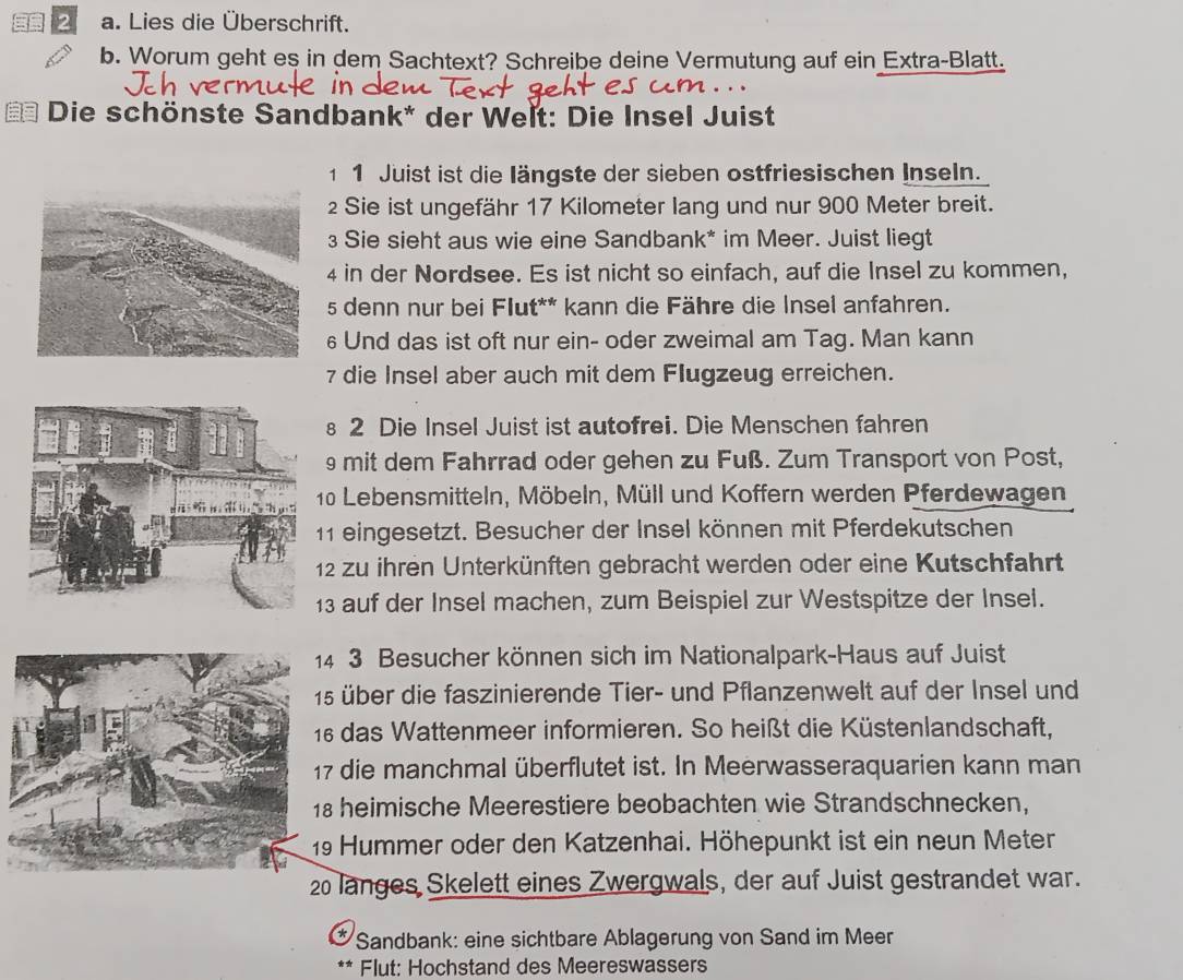 Lies die Überschrift.
b. Worum geht es in dem Sachtext? Schreibe deine Vermutung auf ein Extra-Blatt.
a  Die schönste Sandbank* der Welt: Die Insel Juist
1 1 Juist ist die längste der sieben ostfriesischen Inseln.
2 Sie ist ungefähr 17 Kilometer lang und nur 900 Meter breit.
3 Sie sieht aus wie eine Sandbank* im Meer. Juist liegt
4 in der Nordsee. Es ist nicht so einfach, auf die Insel zu kommen,
s denn nur bei Flut** kann die Fähre die Insel anfahren.
6Und das ist oft nur ein- oder zweimal am Tag. Man kann
7 die Insel aber auch mit dem Flugzeug erreichen.
§ 2 Die Insel Juist ist autofrei. Die Menschen fahren
9 mit dem Fahrrad oder gehen zu Fuß. Zum Transport von Post,
10 Lebensmitteln, Möbeln, Müll und Koffern werden Pferdewagen
1 eingesetzt. Besucher der Insel können mit Pferdekutschen
2 zu ihren Unterkünften gebracht werden oder eine Kutschfahrt
3 auf der Insel machen, zum Beispiel zur Westspitze der Insel.
3 Besucher können sich im Nationalpark-Haus auf Juist
über die faszinierende Tier- und Pflanzenwelt auf der Insel und
das Wattenmeer informieren. So heißt die Küstenlandschaft,
die manchmal überflutet ist. In Meerwasseraquarien kann man
heimische Meerestiere beobachten wie Strandschnecken,
Hummer oder den Katzenhai. Höhepunkt ist ein neun Meter
20 langes Skelett eines Zwergwals, der auf Juist gestrandet war.
* Sandbank: eine sichtbare Ablagerung von Sand im Meer
Flut: Hochstand des Meereswassers